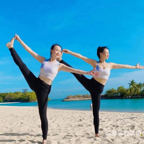 免费无码国产在线看瑜伽，水蜜桃在线播放生活的数字化新选择健身瑜伽2国语版免费