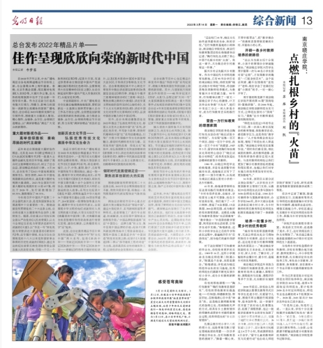 国产精品视频大陆免费播放，新时代下的文化盛宴与版权保护