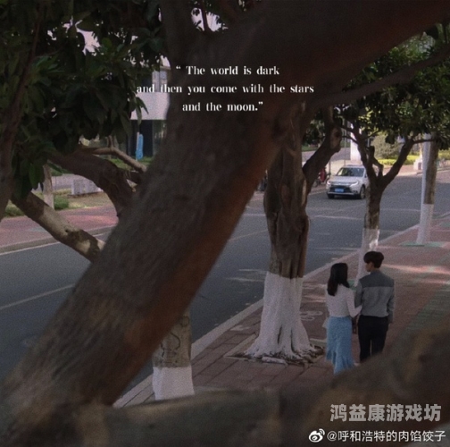 国产精品JⅠZZ视频国产精品JⅠZZ视频崛起，品质与创新的双重奏