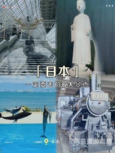 欧美日本免费一级a一片，探索全球影视文化的多样性