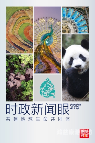 欧美亚洲综合文化交融，探索跨地域的多样性与共性欧美亚洲综合久久偷偷人人|婷