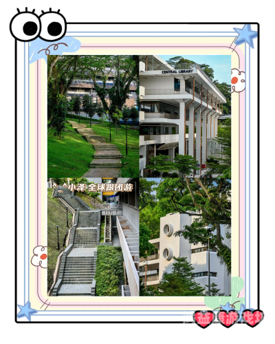 精品国产亚洲日韩亚洲精品国产、亚洲、日韩文化交融，探索多元文化的魅力