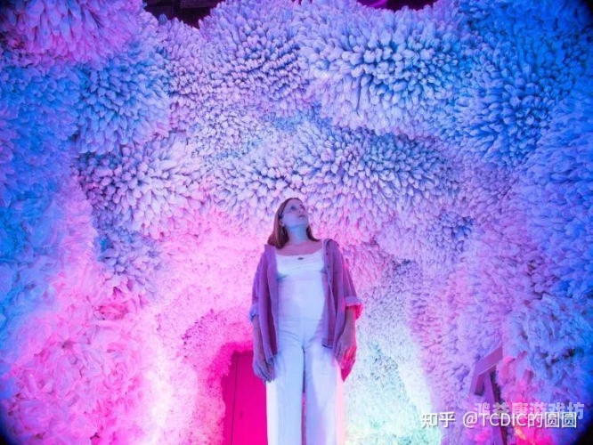 亚洲成在线免费观看，探索数字娱乐的新趋势