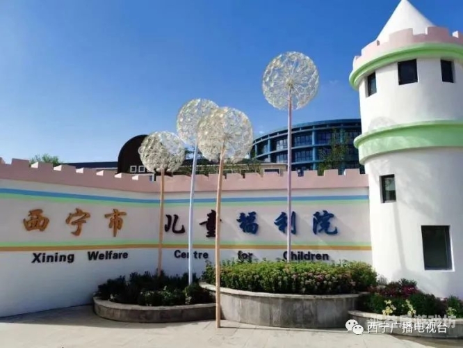 国产成人福利院免费观看国产成人福利院免费观看，探索福利院服务的创新与发展