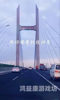 国产亚州视频在线播放国产亚洲视频在线播放平台崛起，内容创新与用户需求的双重驱动