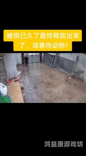 老牛精品久久久久久中文