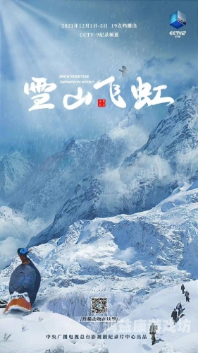 99精品国产免费看，探索中国影视作品的高质量与多样性