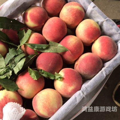 国产蜜桃一区二区精品国产优质蜜桃产区指南，一区二区精品品种及选购技巧