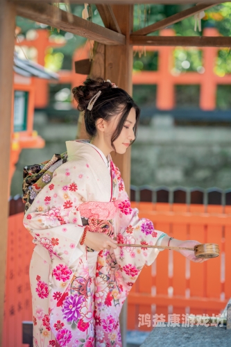 久久精品日本亚洲官网久久精品日本亚洲官网，探索日本文化魅力的数字窗口