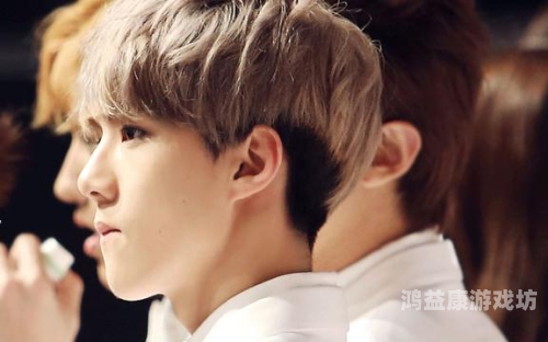 日韩高清中文字幕，影视文化交流的桥梁与版权争议日韩高清中文字幕激情小说