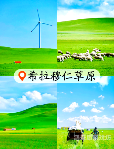 青青草原亚洲，探秘内蒙古草原生态旅游的独特魅力与文化价值青青草原亚洲大插鸡