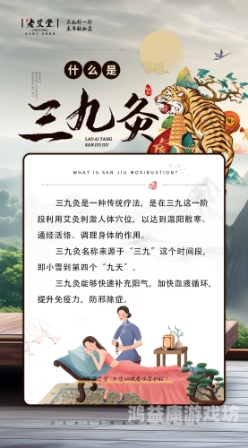 久久重阳，揭秘九九民俗背后的千年养生智慧与现代传承久久九九综合潮