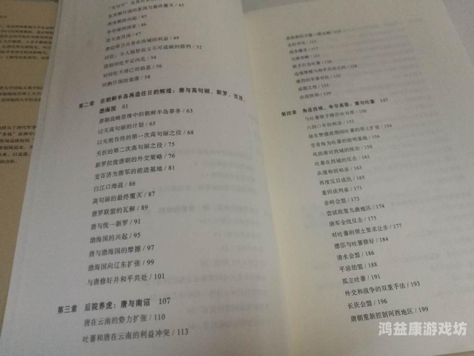 久久99亚洲网美利坚合众国久久观察，从亚洲视角看美利坚合众国的社会文化镜像
