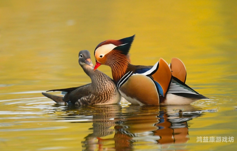 免费国产一区二区三区动物交配