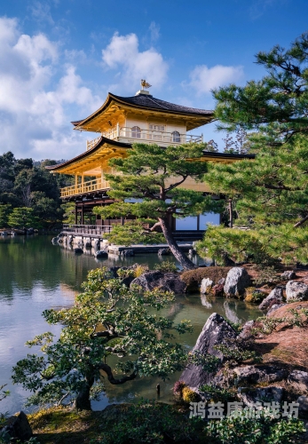 日本文化专区，探索日本传统与现代的免费资源推荐