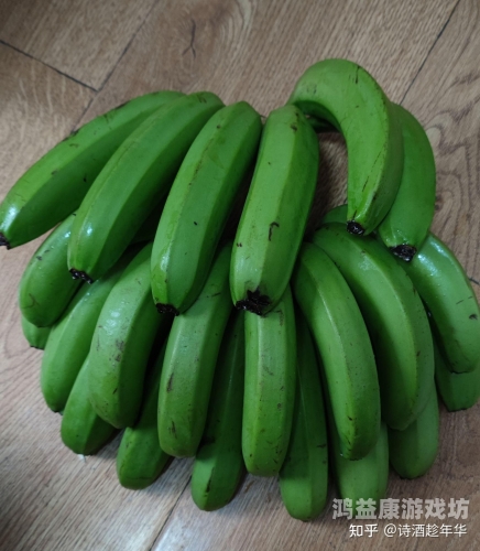 香蕉九九在线播放