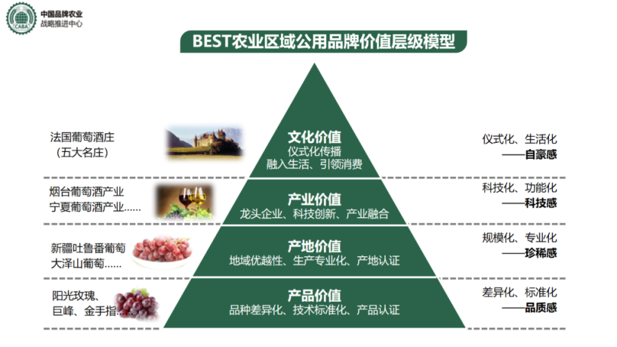 日韩专区一区日韩专区一区深度解析，从文化差异到产业融合的东亚双星