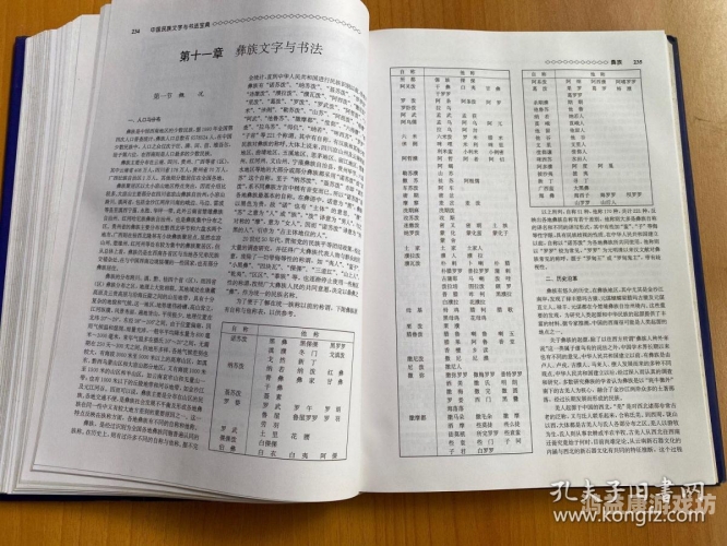 国产中文字幕的发展历程与文化价值