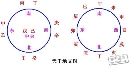国产精品天干天干综合网