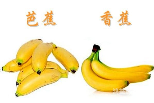 香蕉视频日本在文章核心内容