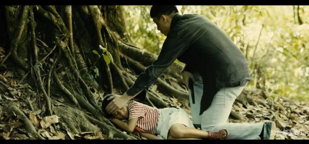 国产一级中文字幕片国产影视分级制度探索，从字幕规范看中国电影产业化进程