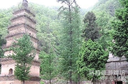 午夜一日本级频午夜一级日本频道，深夜电视节目的文化现象与影响分析