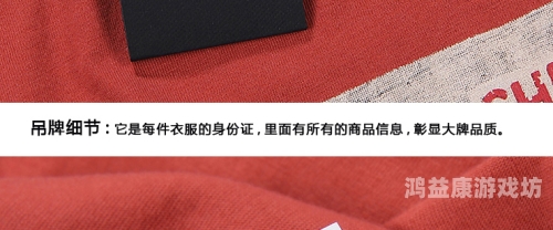 精品99久久66精品99久久66全面解析，品质保障、购买攻略与用户真实评价