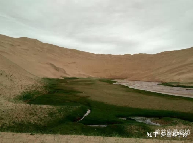 亚洲自拍文化现象全景解读，从审美变迁到社会影响(2573字深度分析)亚洲 自拍 男同 综合在线