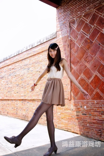 久久综合丝袜日本网手机版久久综合丝袜日本网手机版，全面解析与使用指南