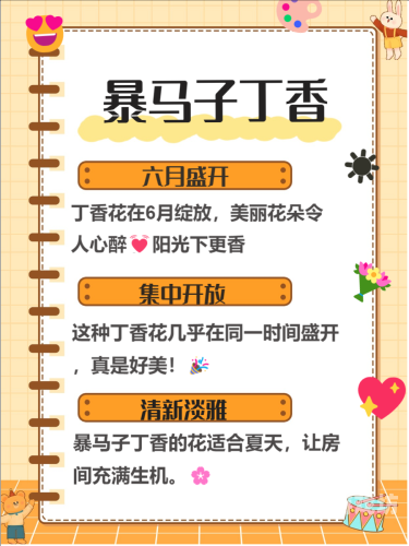 五月丁香绽放时，探寻丁香伊人的文化意象与植物学奥秘五月丁香久久伊人本道开心好婷婷