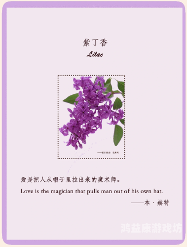 五月丁香绽放时，探寻丁香伊人的文化意象与植物学奥秘五月丁香久久伊人本道开心好婷婷