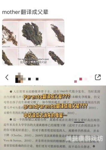 欧美亚洲日韩国内中文字幕全球影视字幕生态调查，从欧美剧到亚洲综艺的字幕文化演变与市场博弈