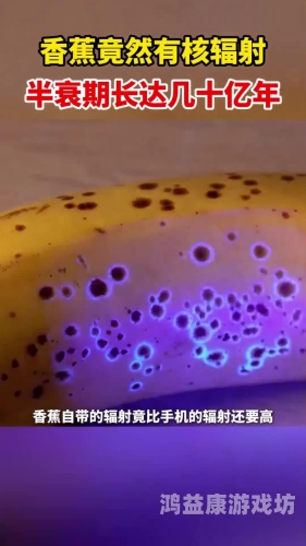 香蕉对碰碰97级久久久，一场跨越世纪的游戏文化现象香蕉久久布布