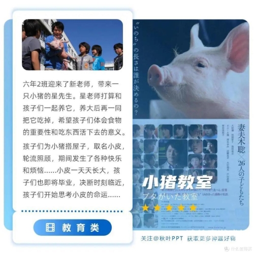 亚另类在线观看亚另类在线观看，小众文化的数字崛起与观看指南