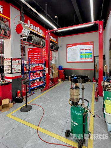 老司机永久免费福利区，2023最全养车知识库与用车技巧大全