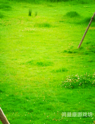 伊人精品青青草原伊人精品青青草原，草原文化与现代时尚的完美融合