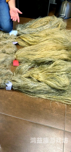 欧美在线网站欧美主流在线视频网站深度解析，市场格局、用户习惯与内容趋势（2024最新版）