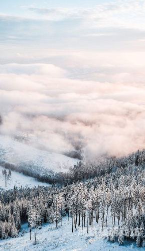 五月停停伊人在钱五月停停伊人在线，揭秘网络热词背后的文化现象与用户心理