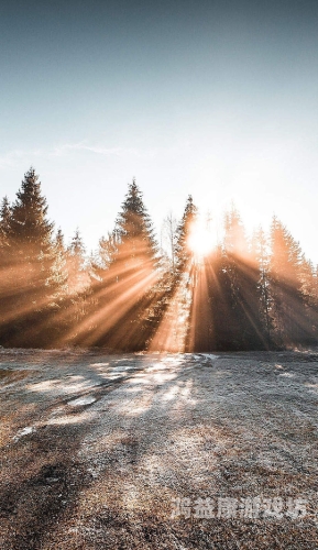 五月停停伊人在钱五月停停伊人在线，揭秘网络热词背后的文化现象与用户心理