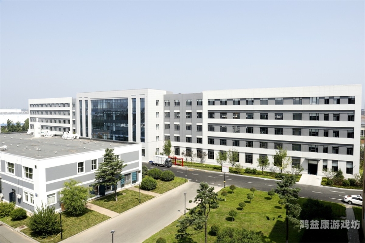 国产自产高清在线，技术创新与市场前景分析国产自产高清在线不卡