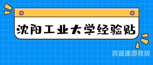 亚州无玛一本二本亚洲一本二本大学解析，无马概念剖析与高等教育选择策略