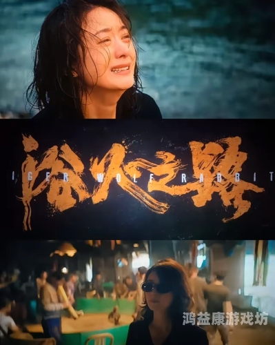 国产精品电影，高质量国产片的崛起与未来发展