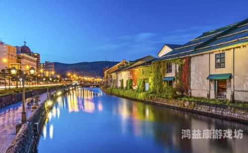 日本最新二区三区免费不卡区日本最新二区三区免费不卡区，解析日本行政区划与网络宽带现状