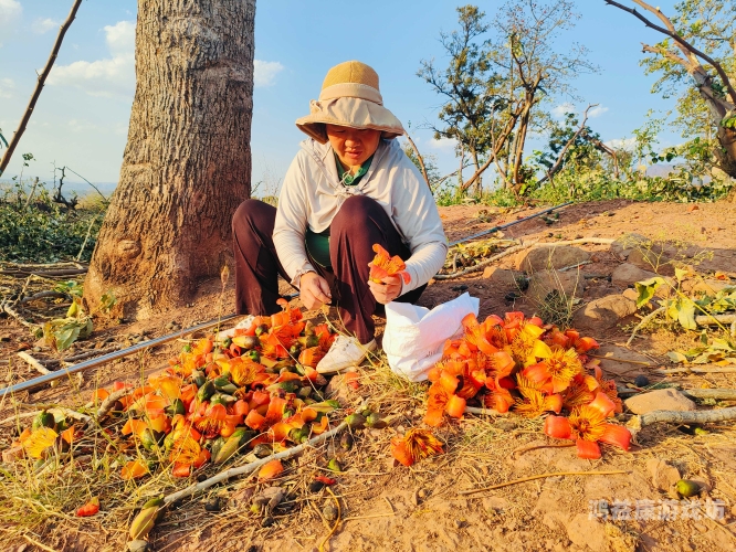 亚洲 另类 春色 国产亚洲春色，国产文化中的另类春色新闻
