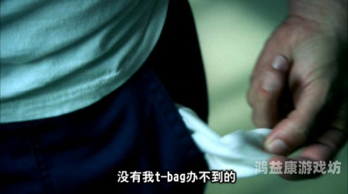 揭秘网络，免费观看成人视频的全新体验