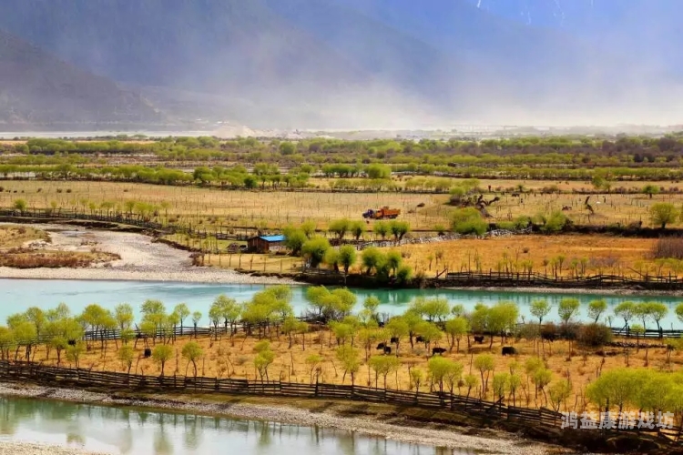 亚洲第一Aⅴ天堂在线观看亚洲第一AⅤ天堂在线观看，探索神秘魅力与极致体验