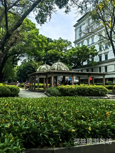 国产精品拍拍拍国产精品，拍拍拍角色与风采