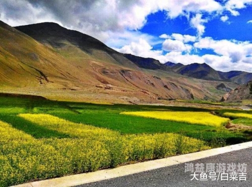 а天堂中文一区二区在线天堂中文一区二区在线，新闻资讯网站小编角色设定