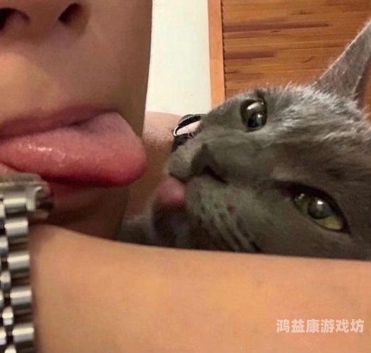 欧美日韩不卡视频，探索优质内容的新纪元欧美日韩不卡视频 17c