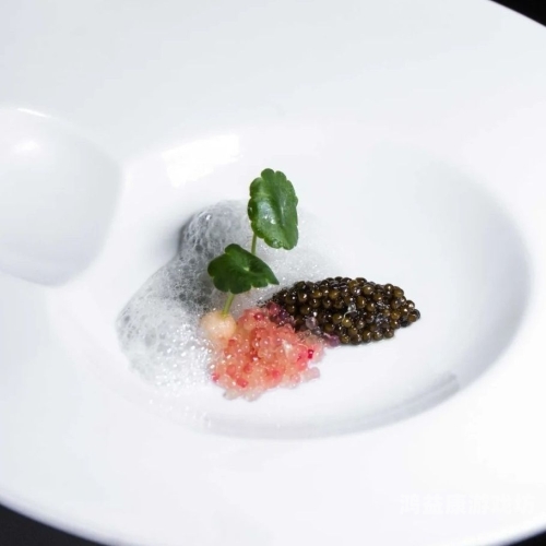 俄罗斯特级无码精品在线播放一区二区俄罗斯特级无码精品在线播放一区二区，探索神秘的网络世界